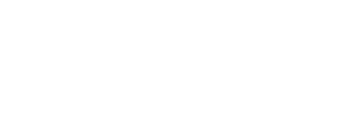 Velssa